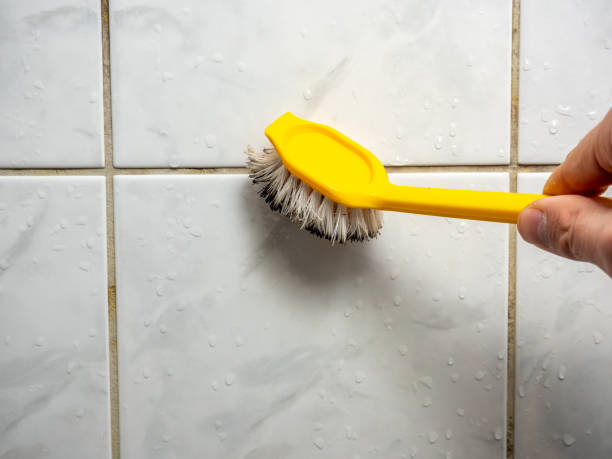 Best Professional Mold Removal  in Cottonwood, AL