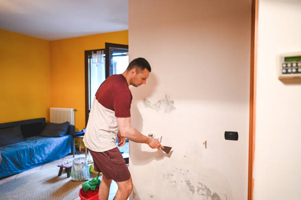 Best Mold Damage Repair  in Cottonwood, AL